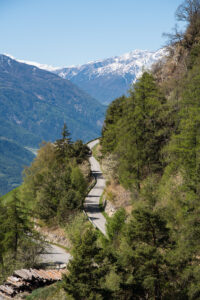 Vinschgau