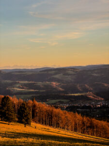 Hochschwarzwald