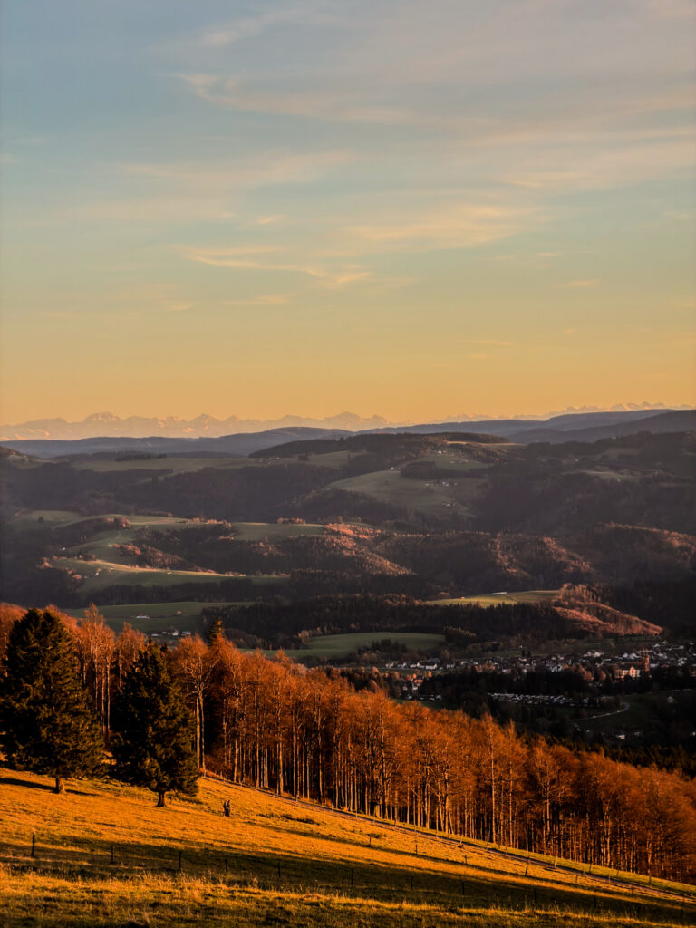 Hochschwarzwald