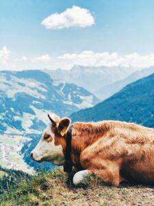 Zillertal